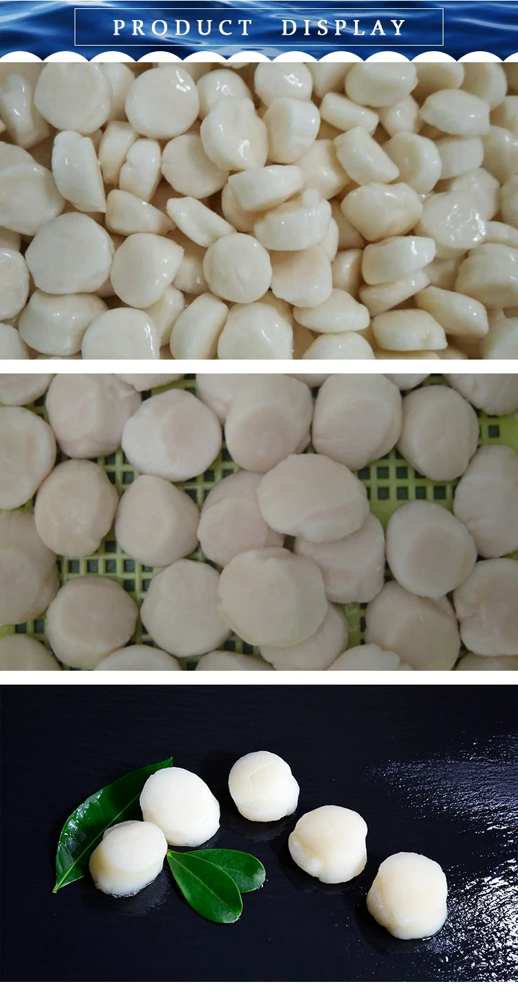 Wholesale Prices Frozen Sea Scallop Meat Scallop Buy Sea Scallop