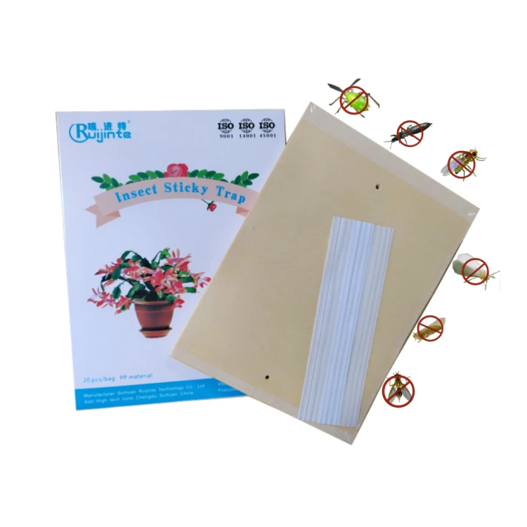 

2022 New PP Material Product Insect Glue Trap in Pest Controle Effective Farm Fly Sticky Bug Disposable Hanging Fly Wasp