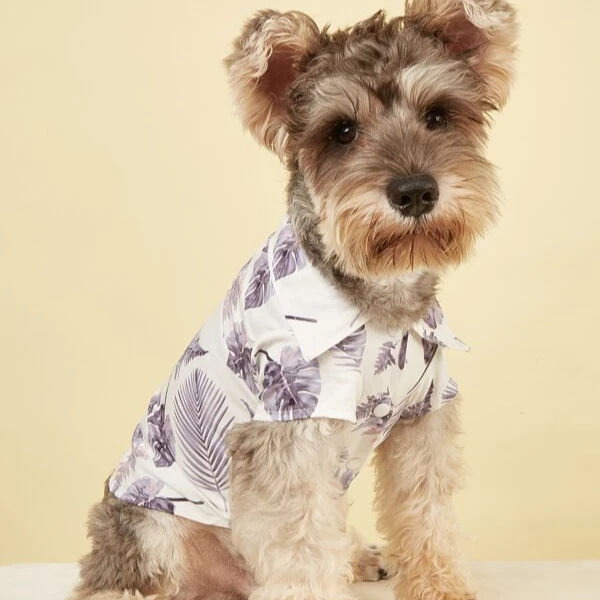 

2021 custom wholesale summer cat pet apparel small high-end dog clothing