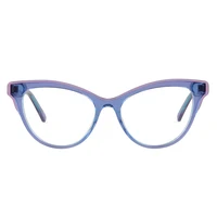 

2646 Custom cat eye acetate optical glasses frames eyewear