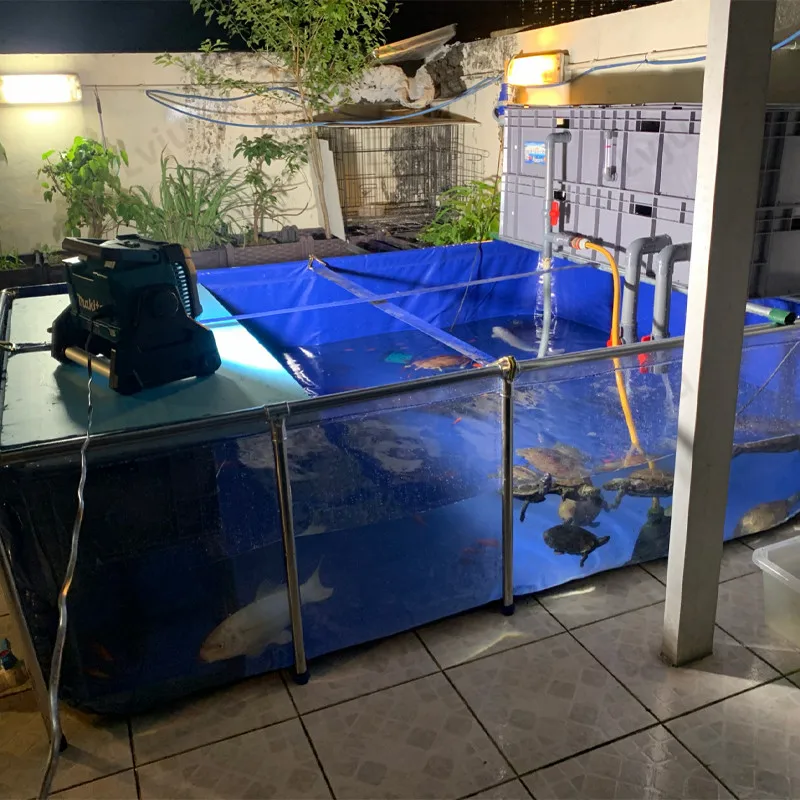 

Lvju High Quality Beta Fish Tank Easy Change Water Stainless Steel Commercial Fish Tanks, Blue and one side clear/custom