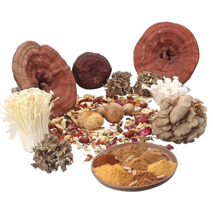 Mushroom (16).jpg