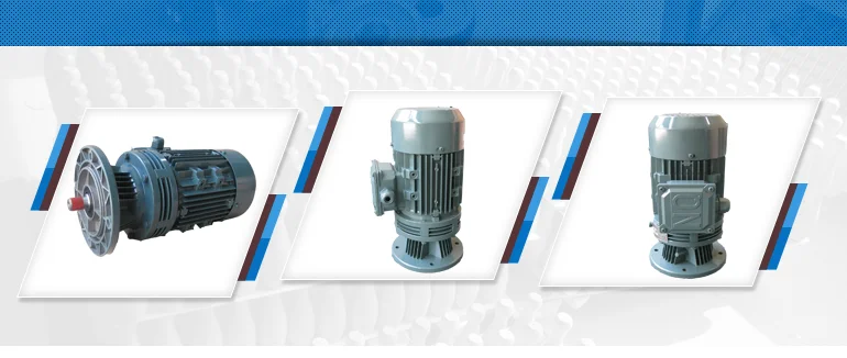 cycloidal gearmotor