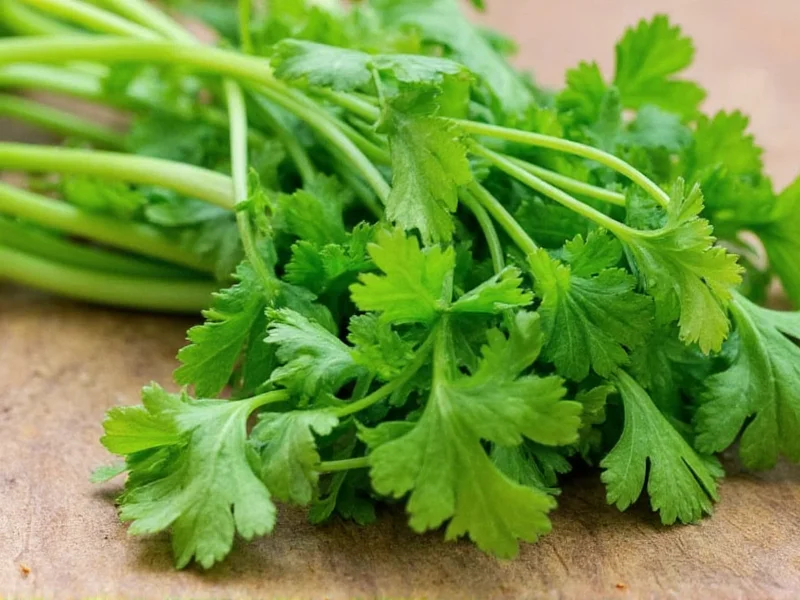 Coriander vs Cilantro: Same Plant, Different Names Explained