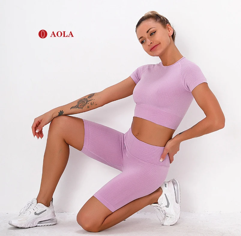 

AOLA T Shirt And Yoga Gym Fitness Sports Wear Womens Activewear Seamless Women Summer Two Piece Short Set, Picture shows