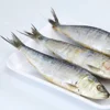/product-detail/hot-in-demand-frozen-hilsa-fish-frozen-fresh-sardines-on-sale-frozen-whole-sardine-fish-62328801787.html