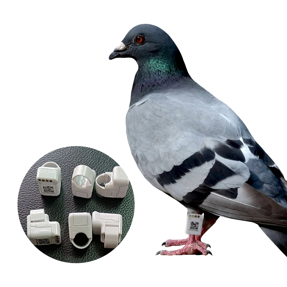 

High Quality Pigeons Rings Wholesale For Sale Ebay Amazon Ring System Holder Game Electronic Bird Repellent Devices Reviews