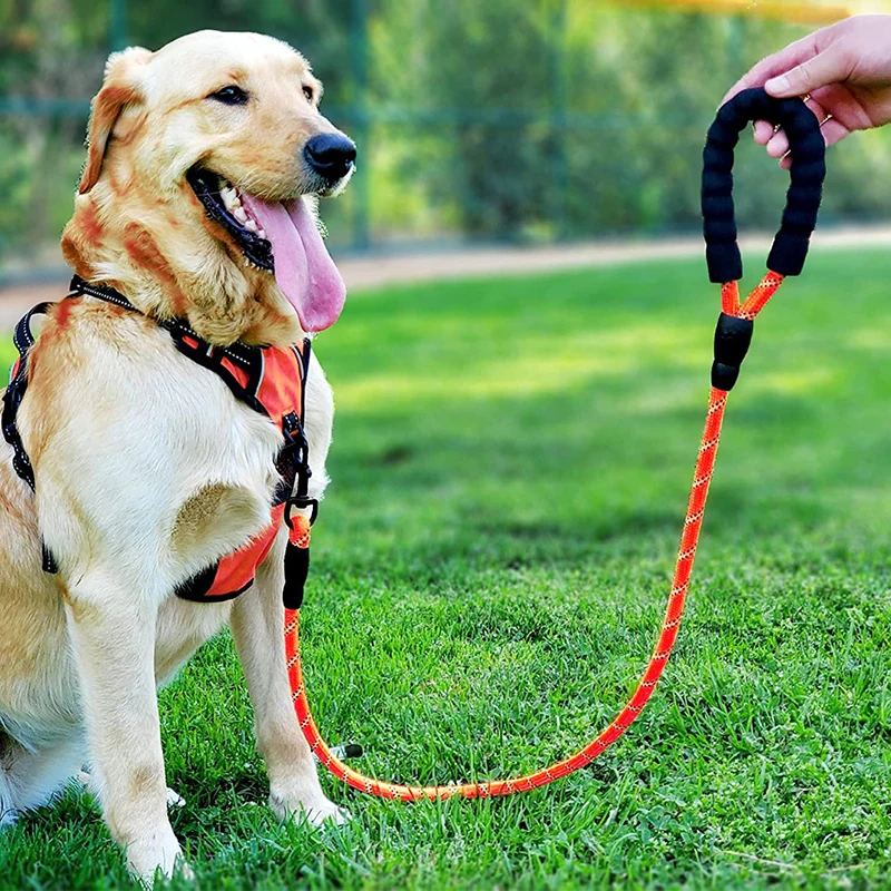 

5 FT Strong Rope Dog Lead with Comfortable Padded Handle and Highly Reflective Threads Big Heavey Duty Rope Dog Leash, Black,red,blue,green,orange,pink,purple