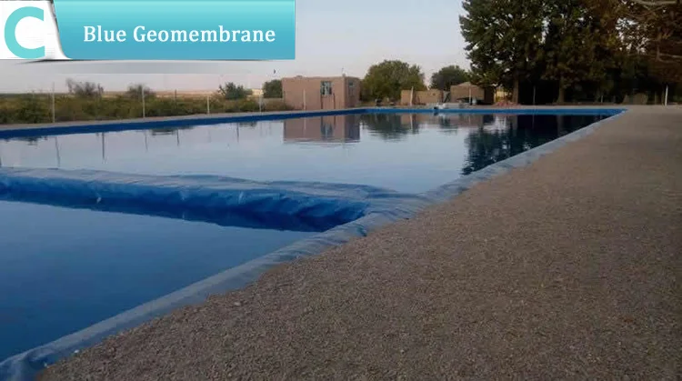 Black Pool Liner 60 mil HDPE Liner for Fish Pond Project.jpg