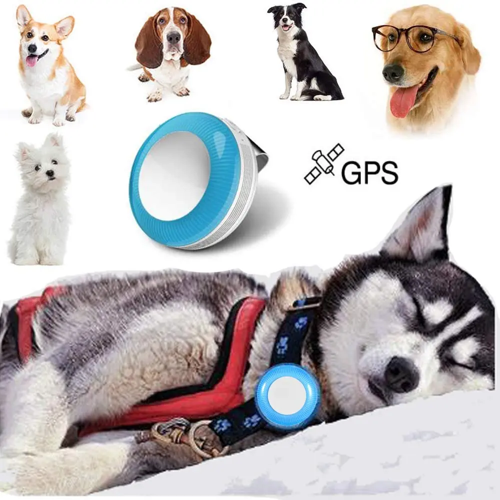 

Round Shape GPS Locator for Kids Pet Car Tracker Pet Tracker Dogs Tracking Device Collar Cats Trailer Dog GPS Tracker, Black