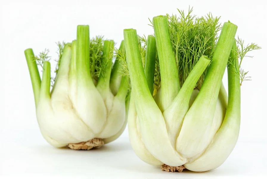 Fennel Bulb Nutrition Facts: Complete Nutritional Profile