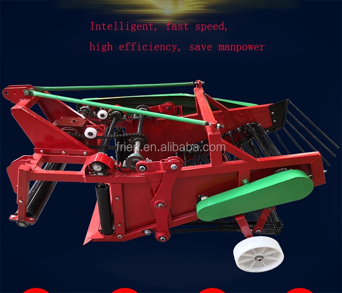 f8.jpg