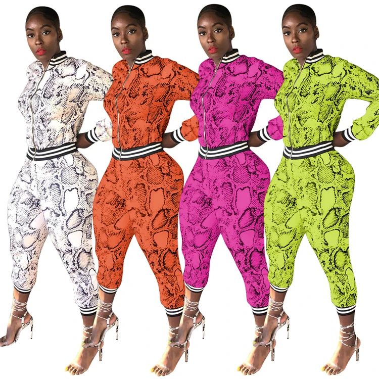 

Fashion Casual Ladies 2 Pcs Outfits Long Sleeve Stripe Patchwork Snake Print Autumn Women Two Piece Set, Picture