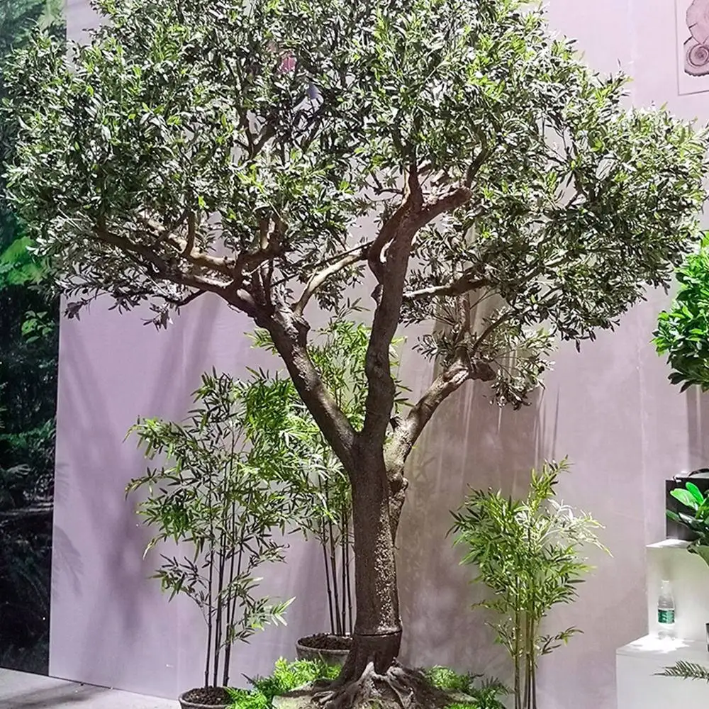 

Wholesale Custom Height Large Fake Olive Tree Fiberglass Evergreen Big Size Look Natural Artificial Olive Trees