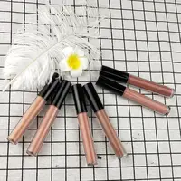 

Private label no logo vegan nude makeup lipgloss 6 matte color available