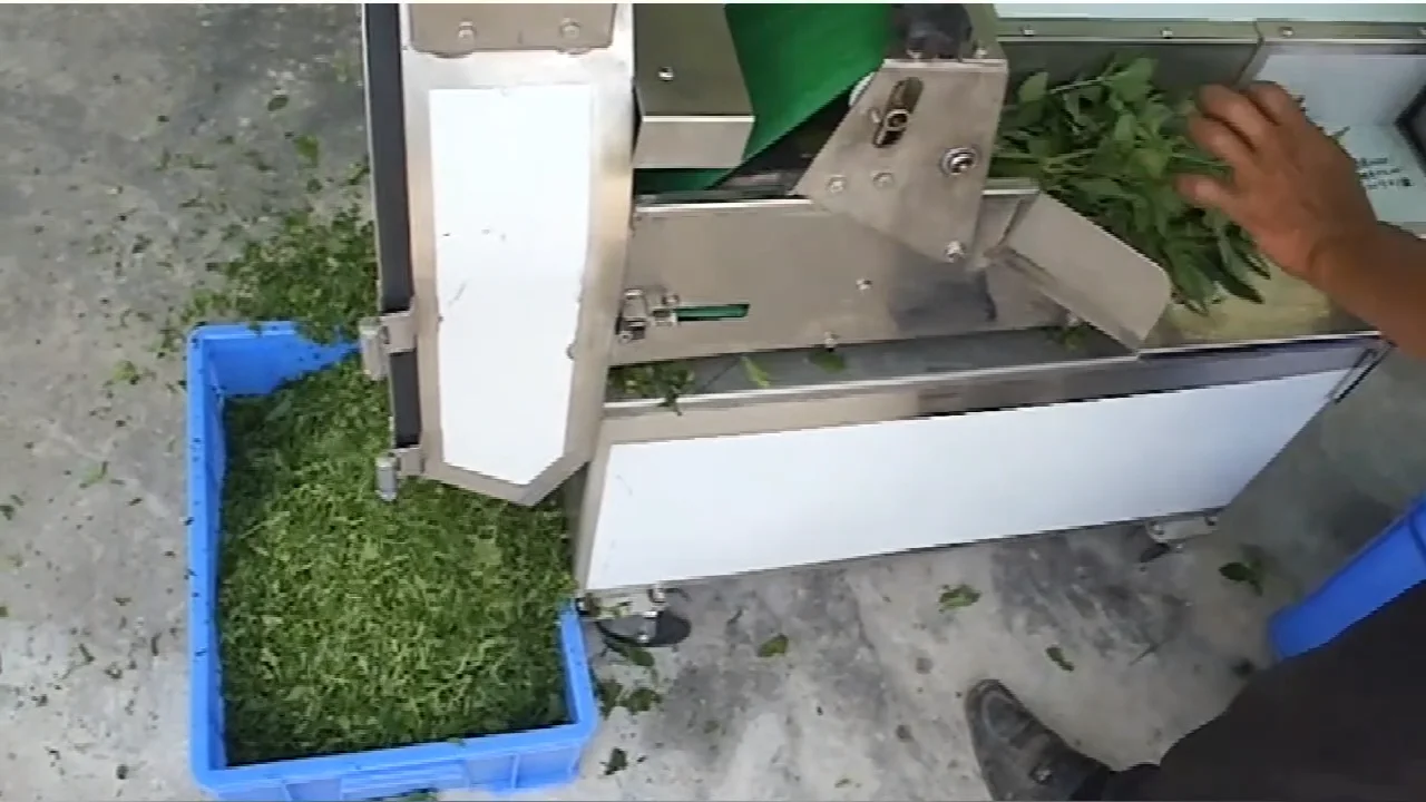 2022 Cabbage Cutting Machine Vegetable Cutter Lettuce Stripper Sticker
