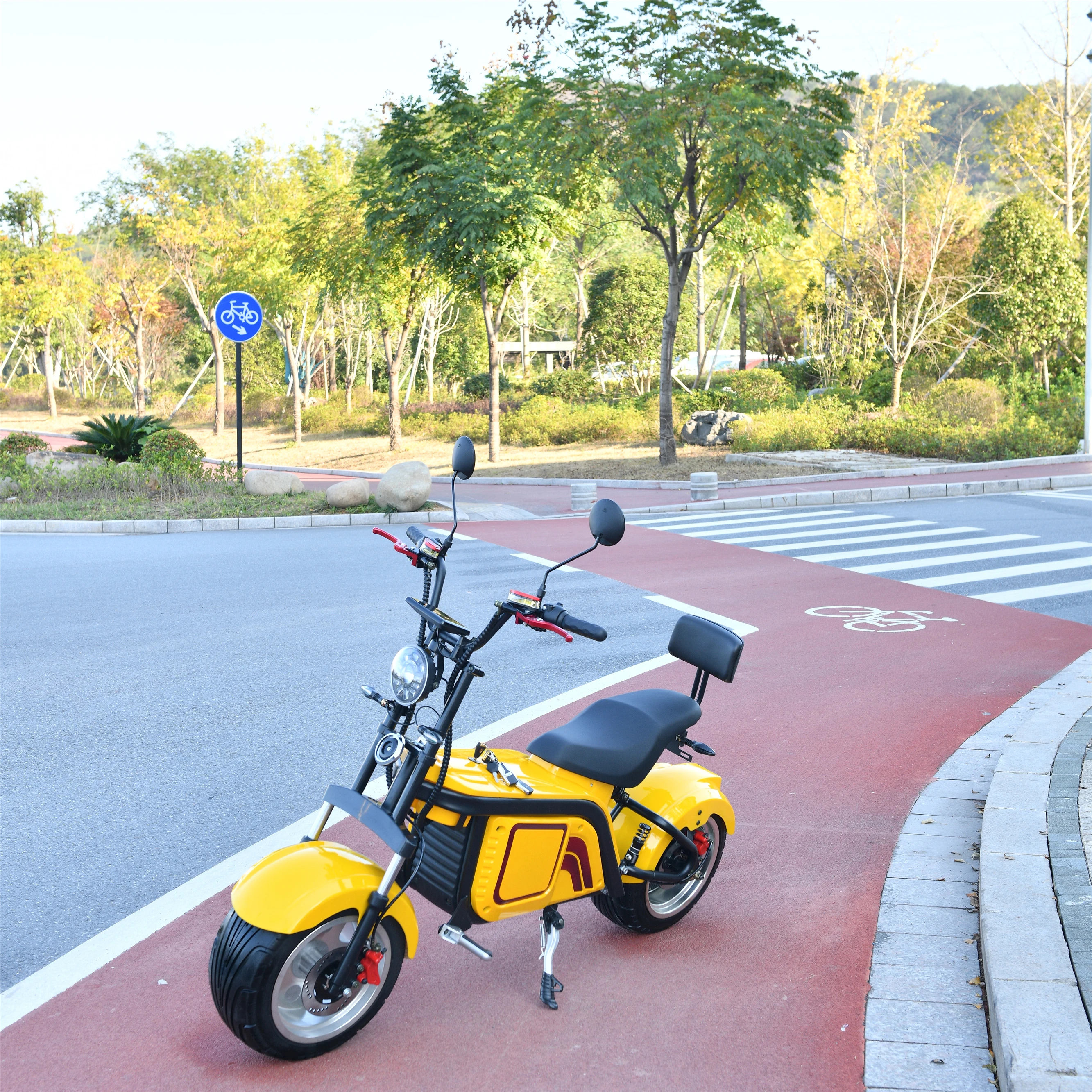 

Big Seat New Good Quality Cool Design EEC/COC Road Legal Model HL-3.0 3000W Electric Scooter Citycoco For Adults