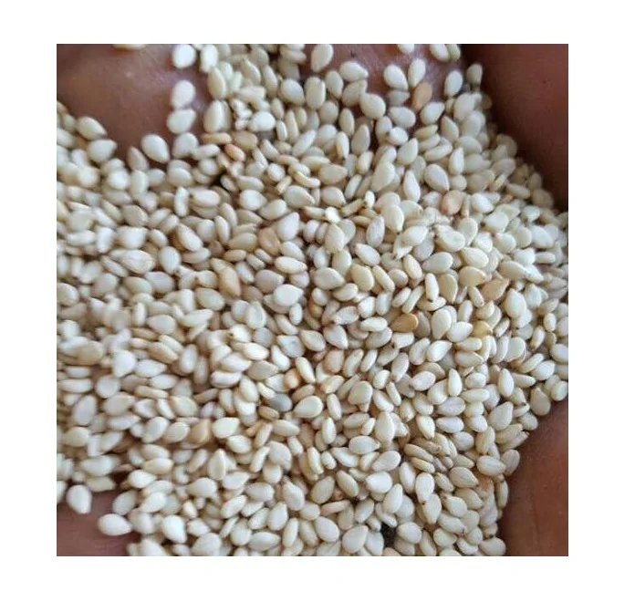 Hot Selling Humera Wollega Natural Ethiopian White Sesame Seed Buy