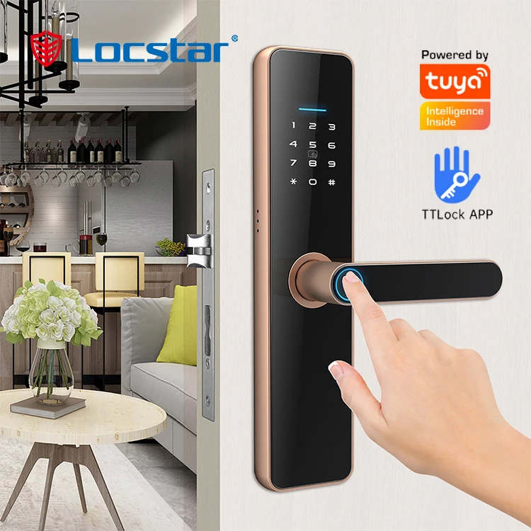 

Fingerprint Digit Electric Handle Digital Electronic Wifi Ttlock Keys Security Door Intelligent Lock Tuya App