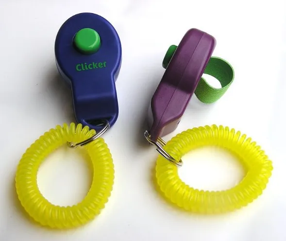 IDT012 Clickers.jpg