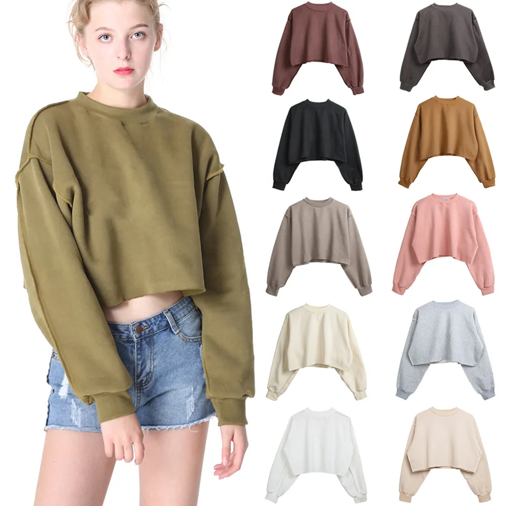 

2020 High Quality Stock Blank Workout Gym Sports Sexy Womens Crop Top Hoodie, 8 colors in stock or oem