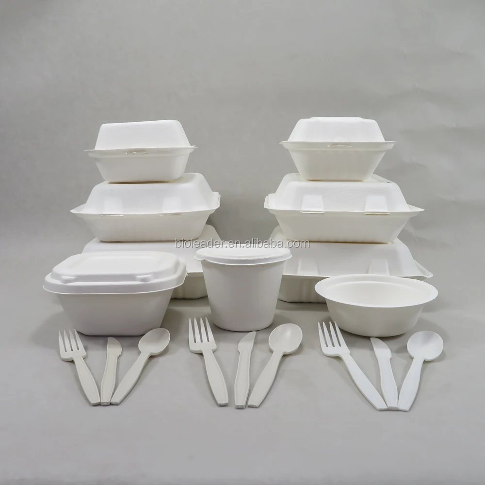 

Biodegradable Lunch Box Wholesale Disposable Take Away Box With A Lid