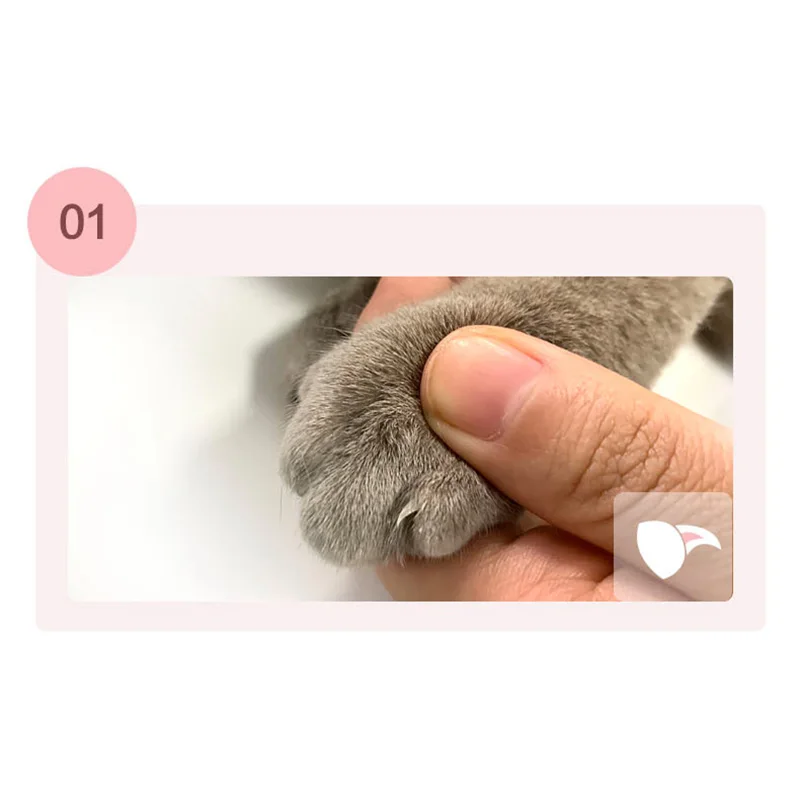 GL-005 (5).jpg
