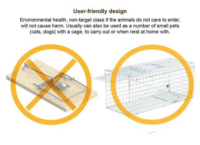 Animal Traps 14.png
