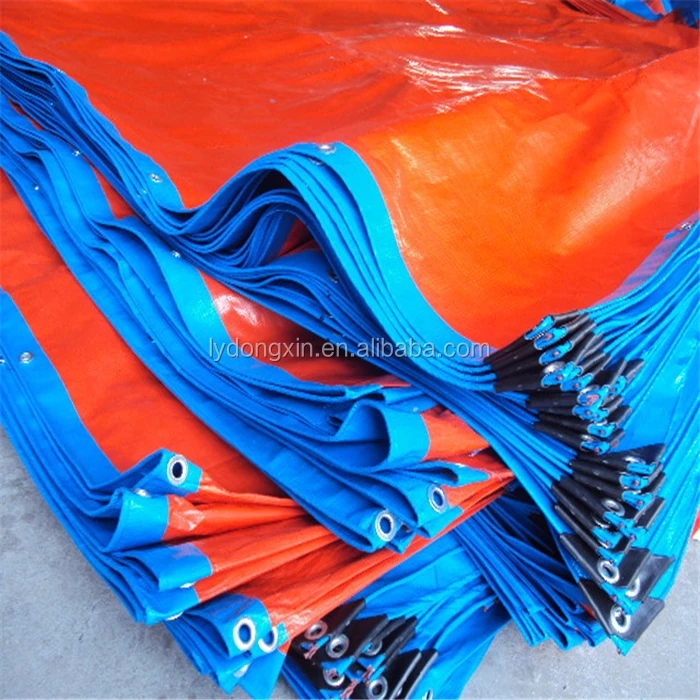 DX blue orange378.jpg