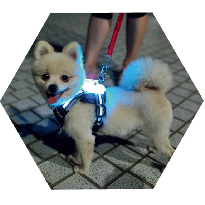 cc simon led usb rechargeable dog harnesses Manufacturer wholesale outdoor nylon adjustable custom pet accessories