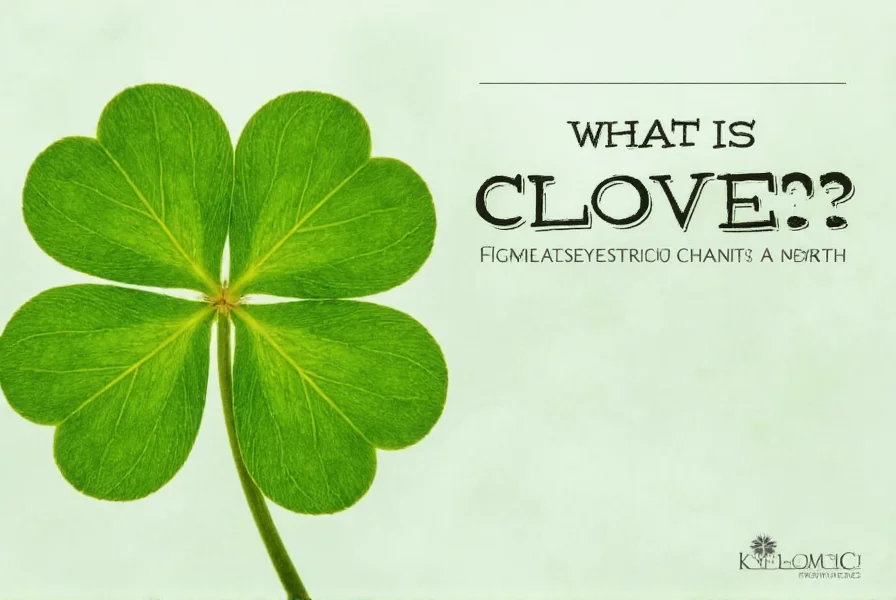 Close-up view of white clover plant showing trifoliate leaves and flower head