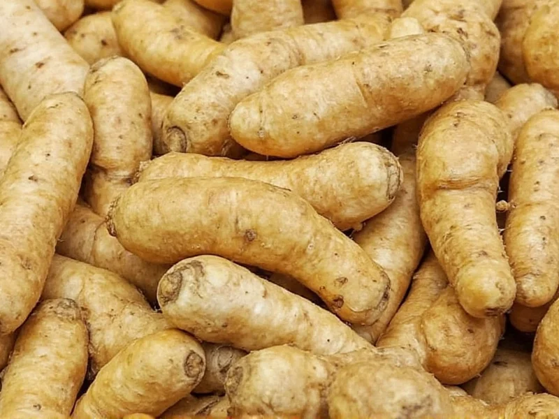 Best Substitutes for Coriander Root in Cooking