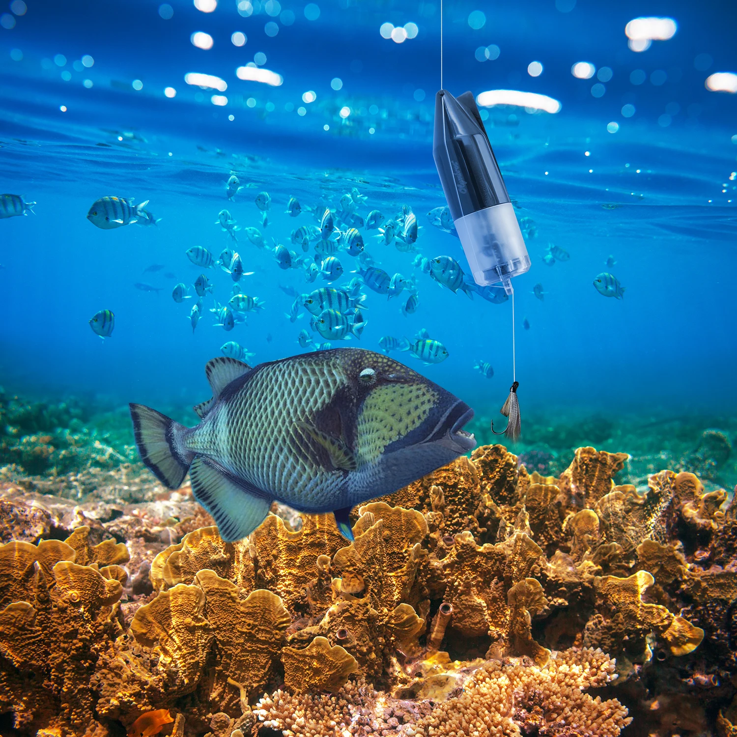 

Latest product! Underwater 720P Mini Fishing Camera