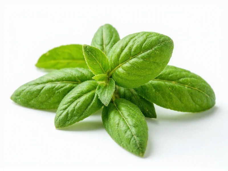 marjoram flavor