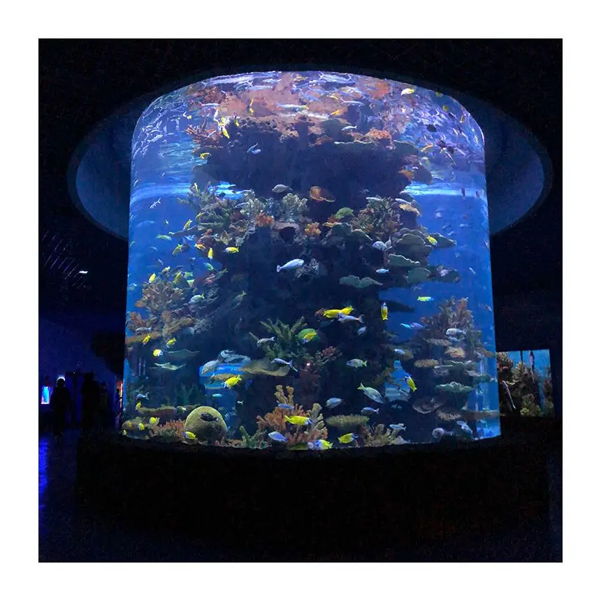 China Professional Acrylic Round100 Gallon Aquarium For Sale Buy
