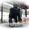 Artificial Lifelike Moving Animatronic Handmade King Kong