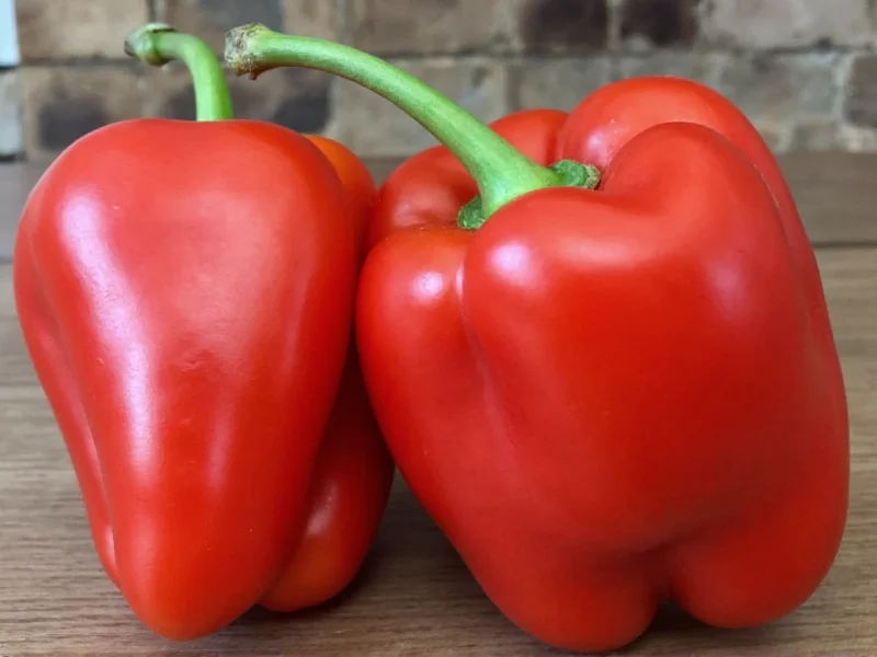 Milder Red Chili Pepper Varieties: Top Mild Options Explained