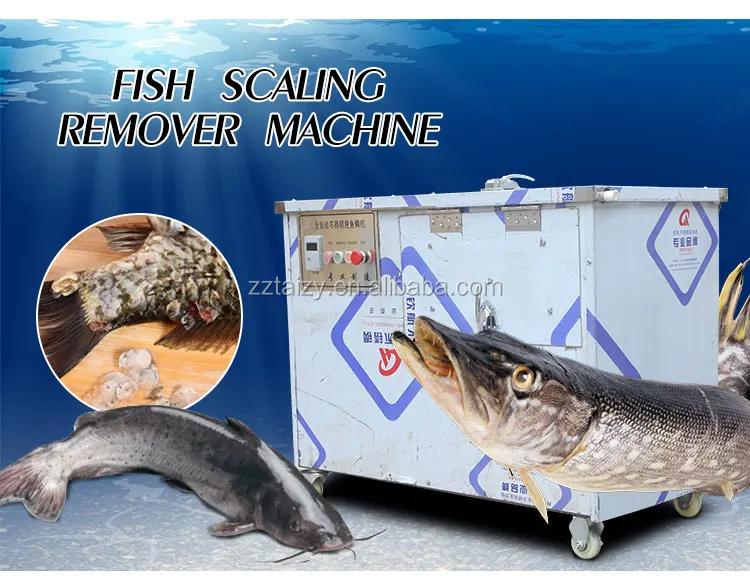 industryprocessingmachinery fish processing plant salmon fish heads cutting machine