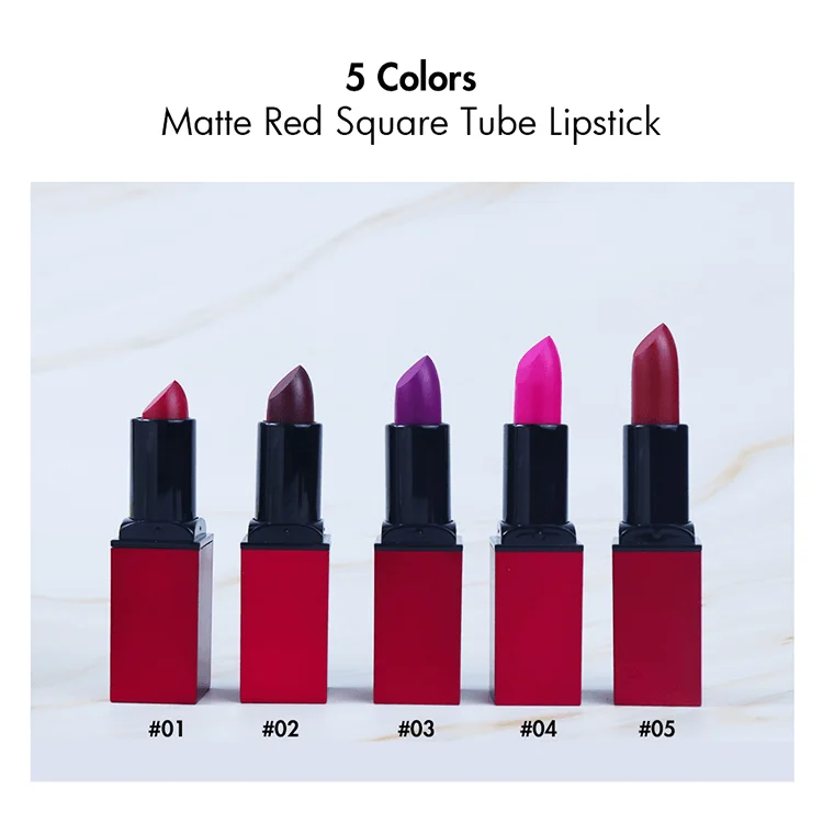 Design Your Own Logos 5 Colors Cosmetic Waterproof Private Label Logo Christmas Matte Lip Stick Square Tube Charm Lipsticks