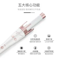 

Wholesale factory prices 2019 ceramic pro lcd hair curler magic tec hair curler automatic curling iron