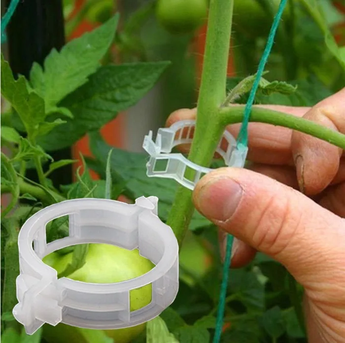

50pcs/bag Reusable 25mm Plastic Plant Support Clips clamps For Plants Hanging Vine Garden Greenhouse Vegetables Tomatoes Clips