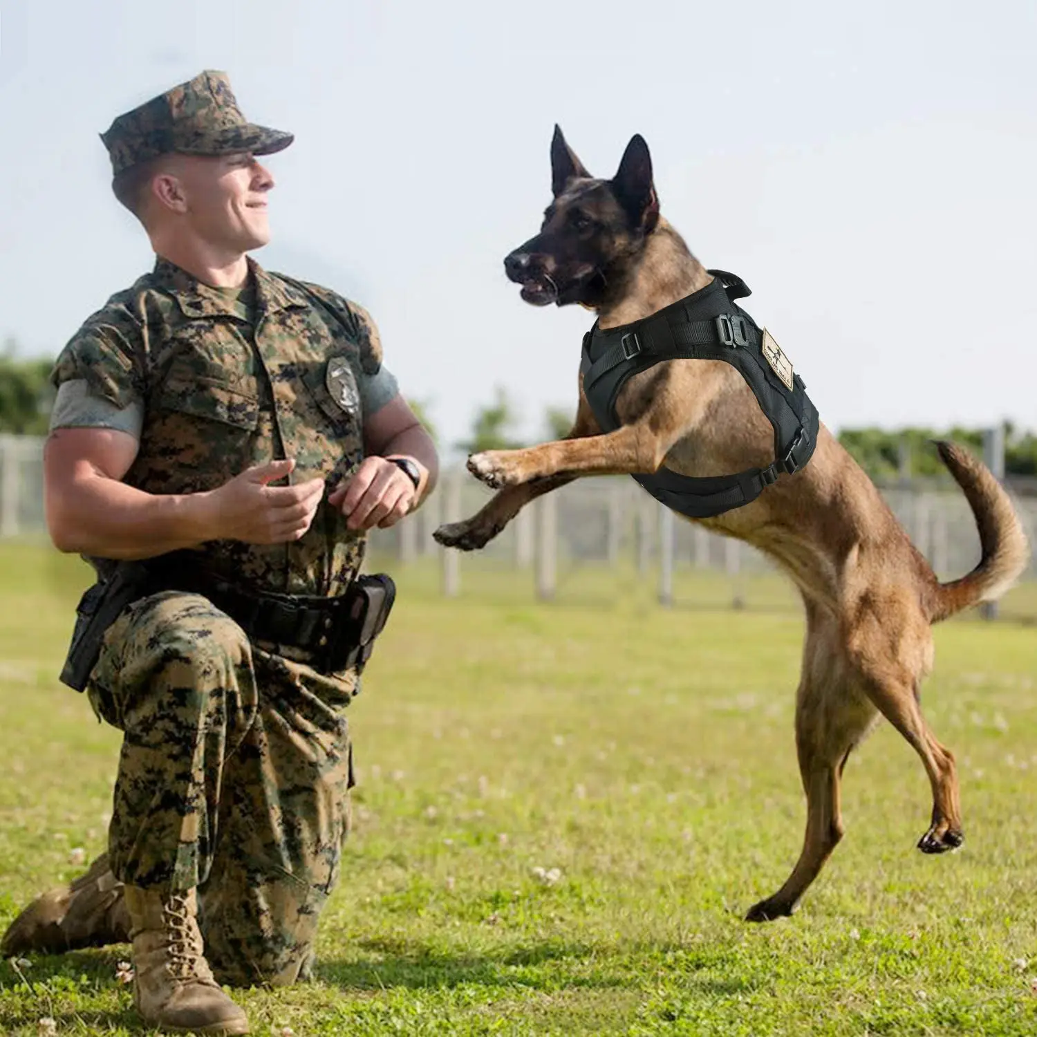 Сила собаки. Тренировка собак спецслужбами фото. Dog Handler.