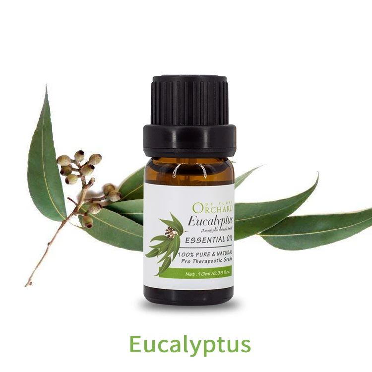 

OEM/ODM Supplier 100% Pure Eucalyptus Essential Oil, Pale yellow