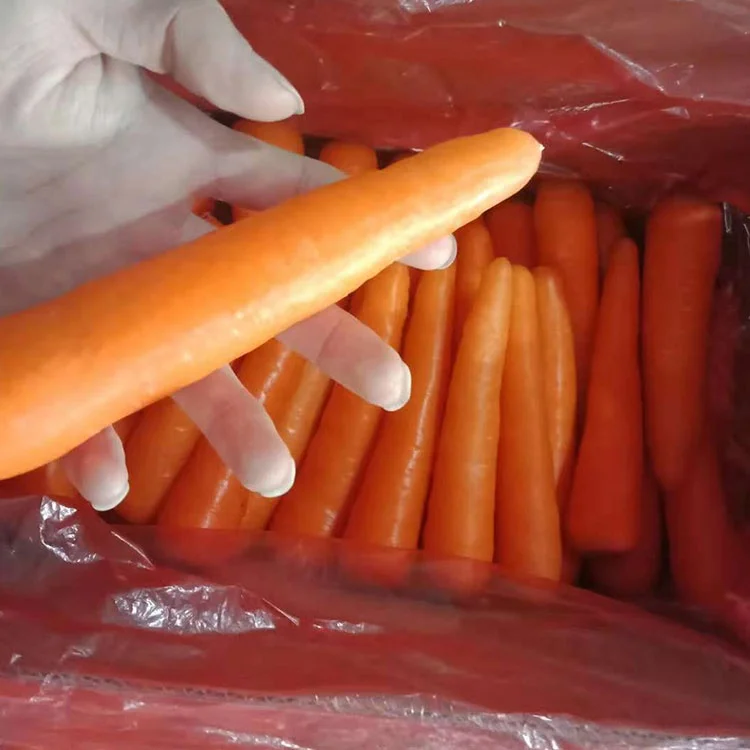 
Fresh wholesale Chinese spot carrots 