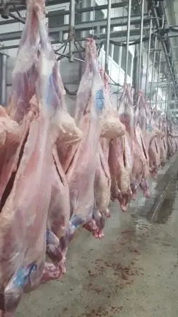 
Chilled meat halal 