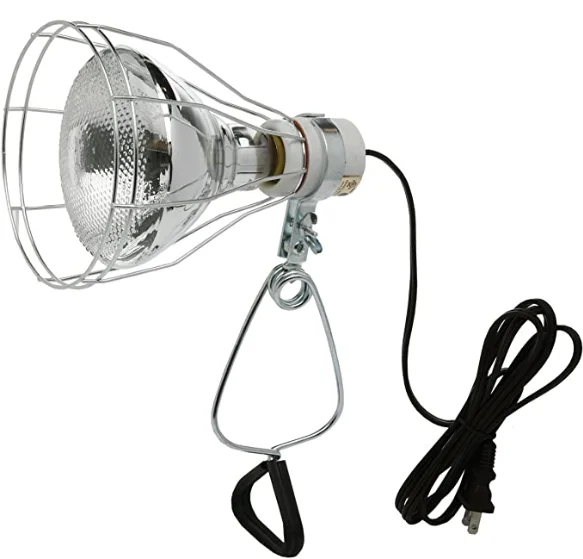 brooder lamp with clamp