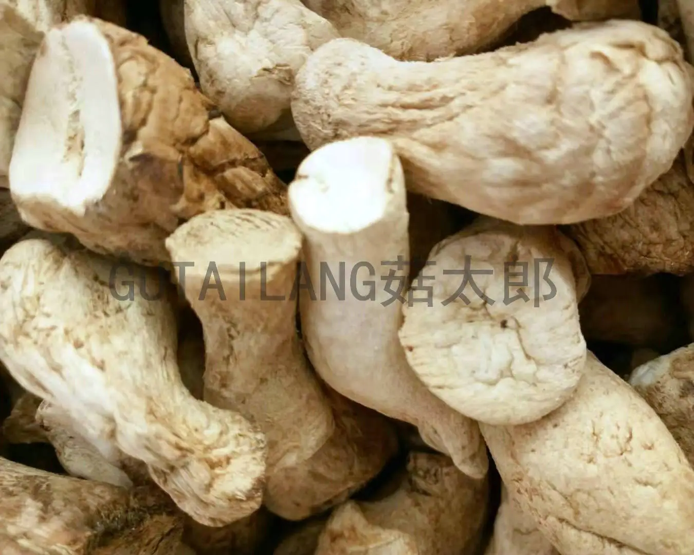 Shiitake Foot Shiitake Mushroom Stem Root Stalk Dried Shiitake Mushroom