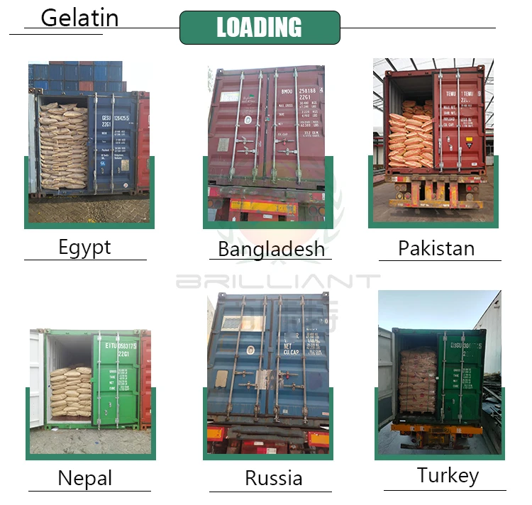 Gelatin Loading