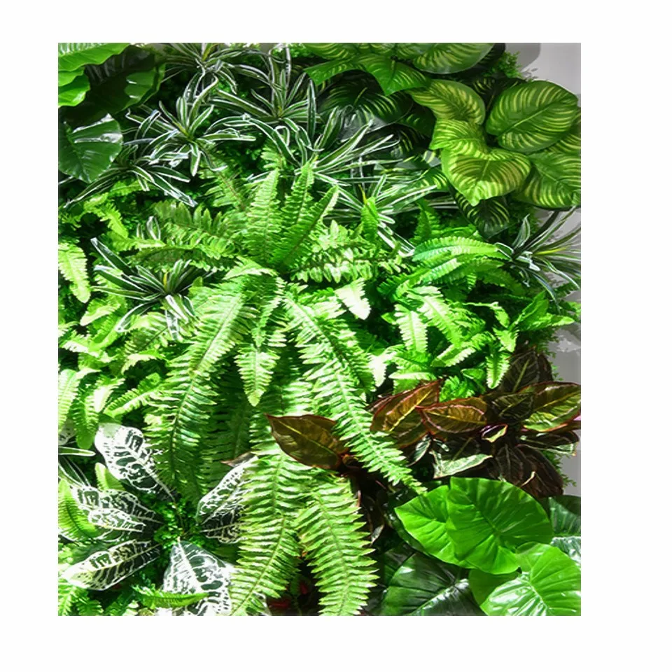 

decorative boxwood panel for home decoration ornamental grass plant