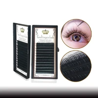 

Wholesale classic volume lashes private label eco friendly 0.07 0.10 0.15 0.85 individual Eyelash Extension tray